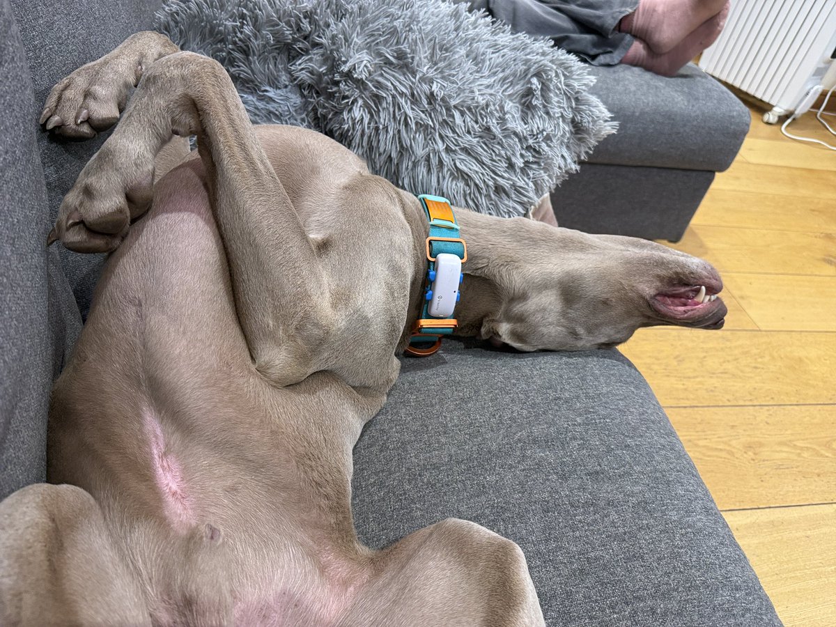 Toby Anscombe tweet media