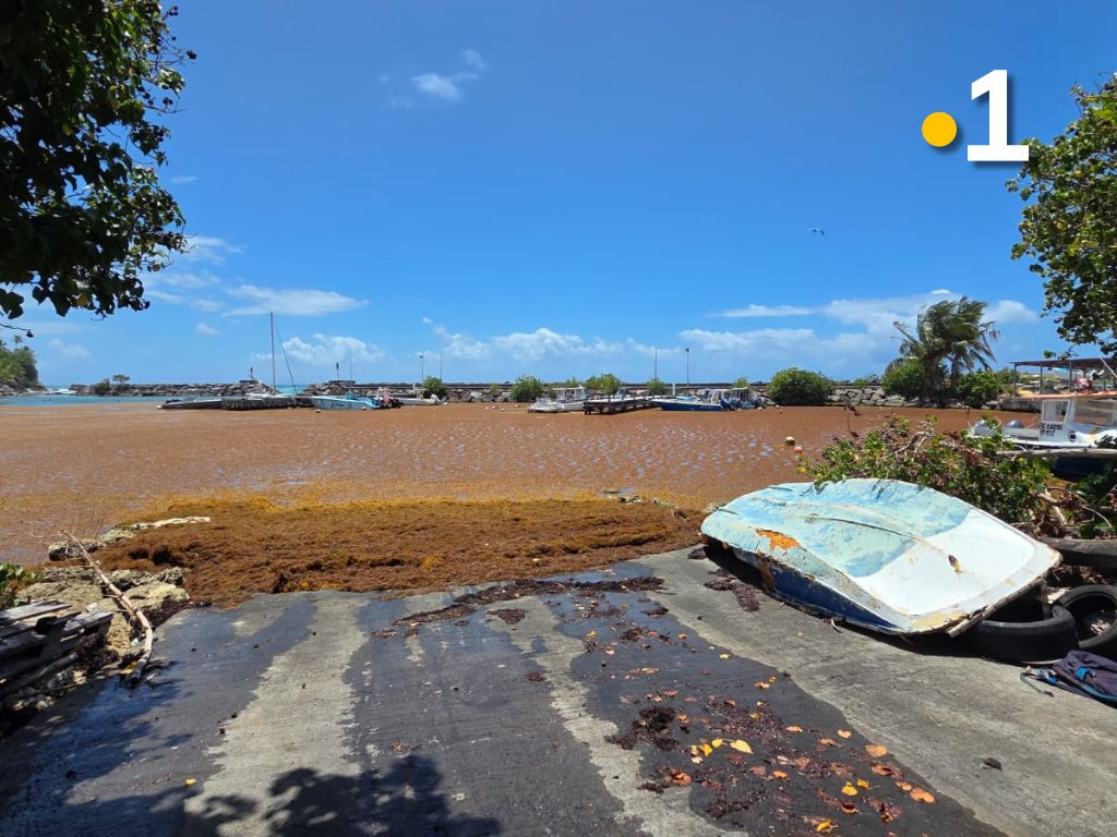 Guadeloupe la 1ère tweet media