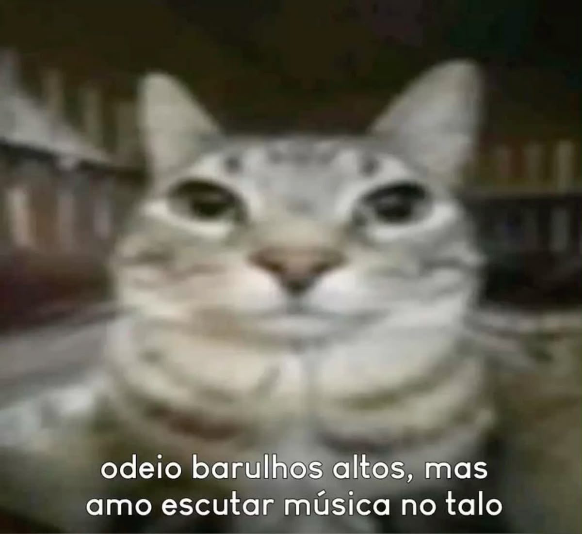 Shitpost só que de verdade tweet media