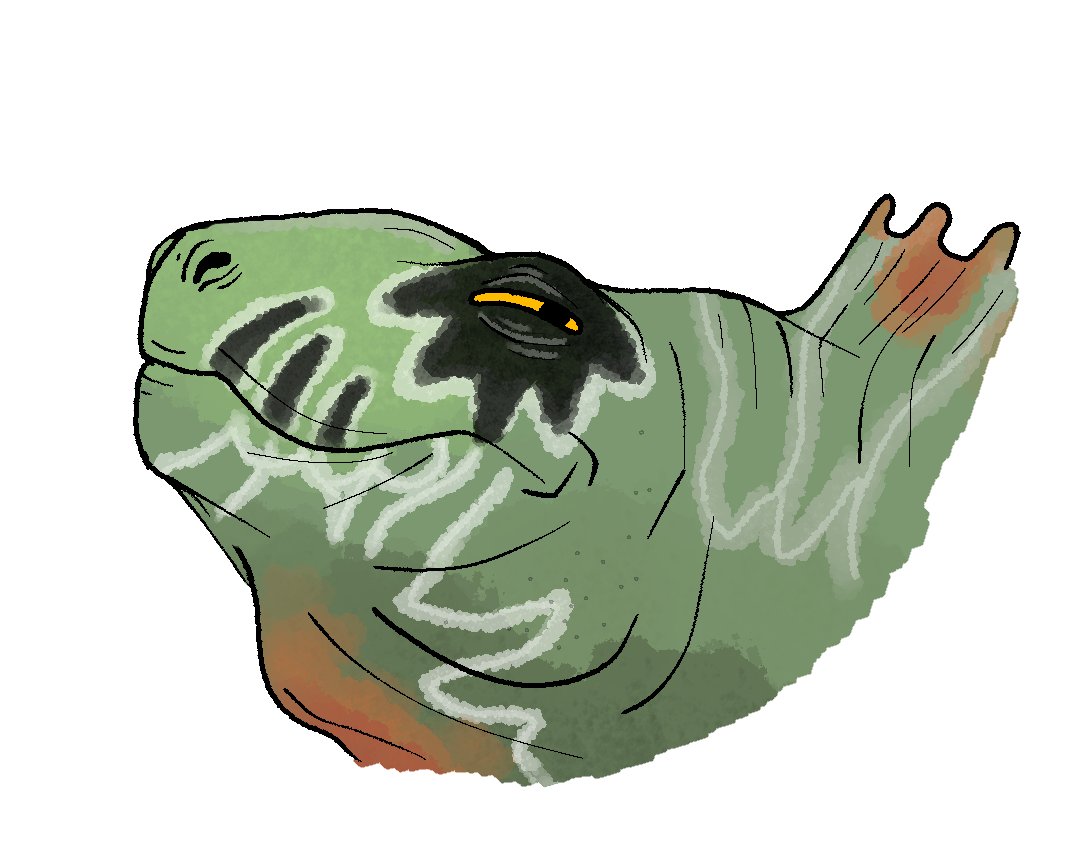 🌸Cassandra🌸🏳️‍⚧️🦕🖌️ tweet media