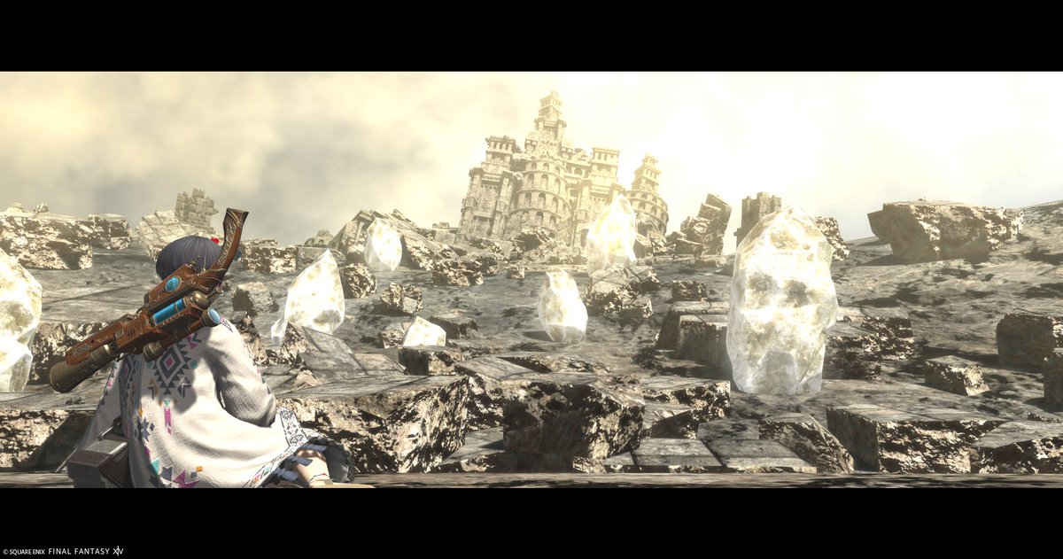 Seal🦭STella🌱 tweet media