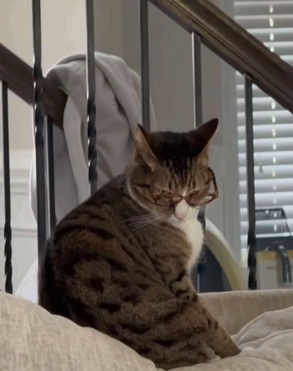 ♐ZANE_BU♑ tweet media