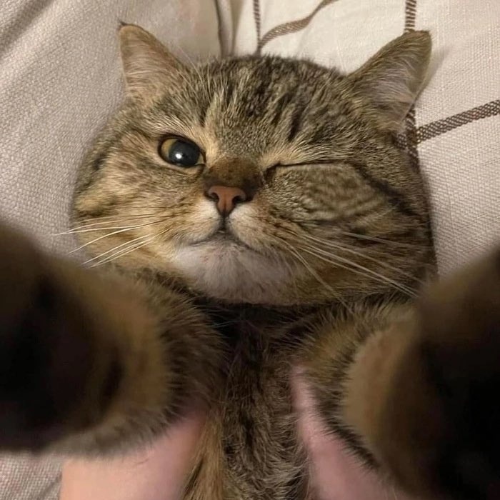 شمس 🥀🌼 tweet media