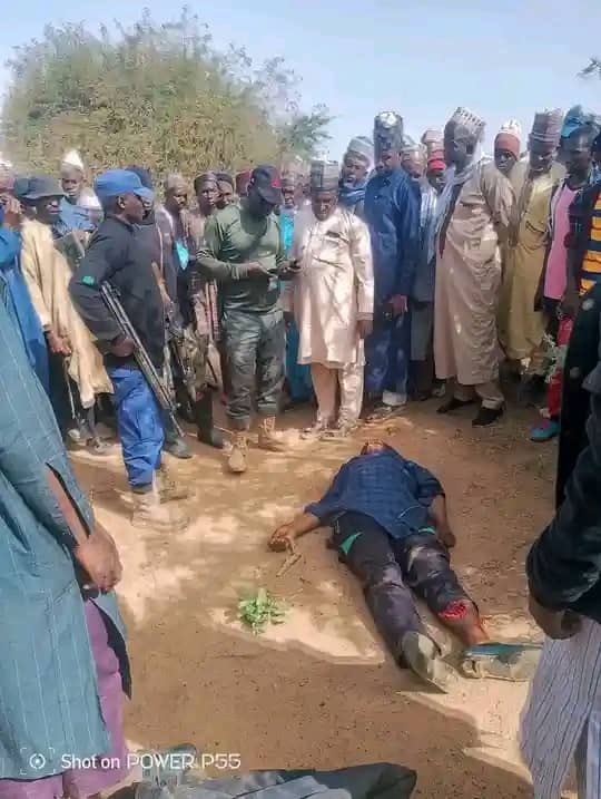Arewa Source tweet media