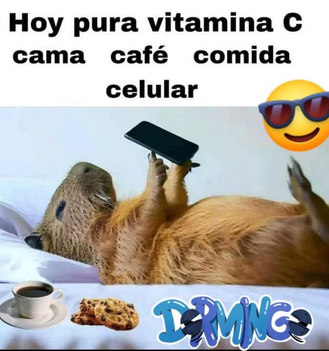 El Meme tweet media