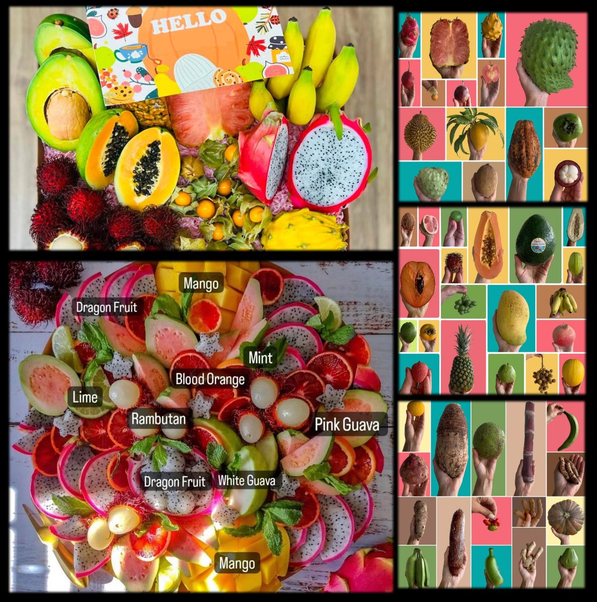 Orangeolive7 𝕏 tweet media