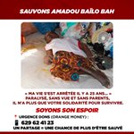 Photo by Mamoudou Boulléré DIALLO (@BOULLERE997)