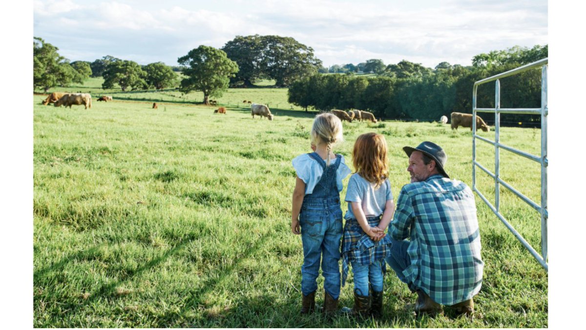 BeefWeb.com tweet media