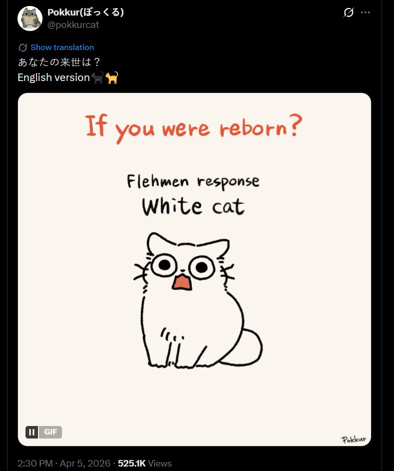 background_character_VA (open Commission) tweet media