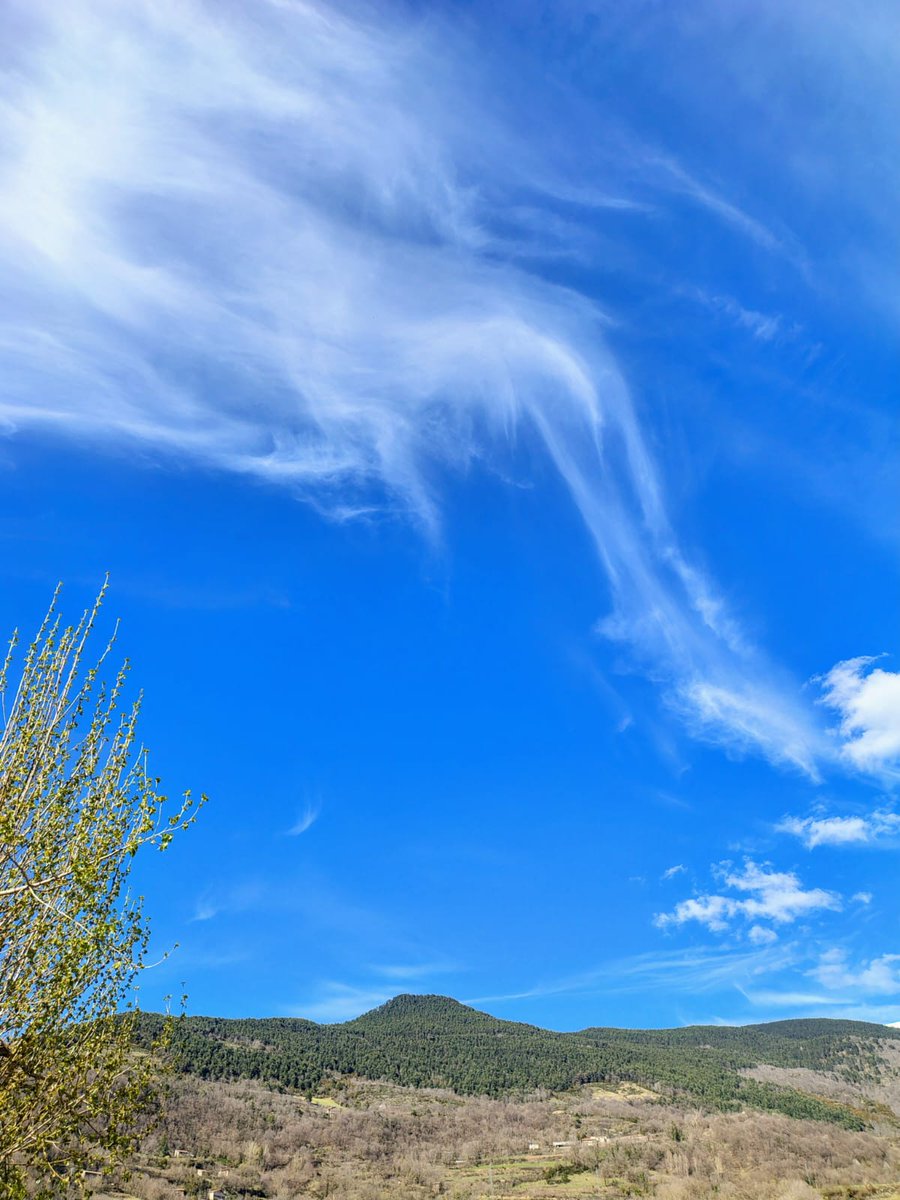 MeteoRibes tweet media