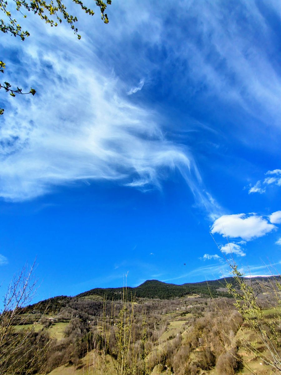 MeteoRibes tweet media