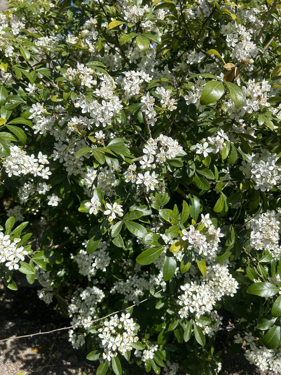 Claudie.Nivet tweet media