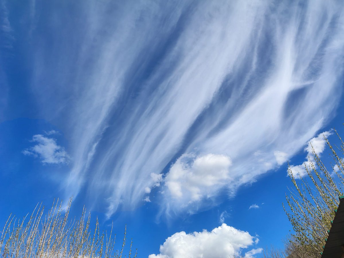 MeteoRibes tweet media