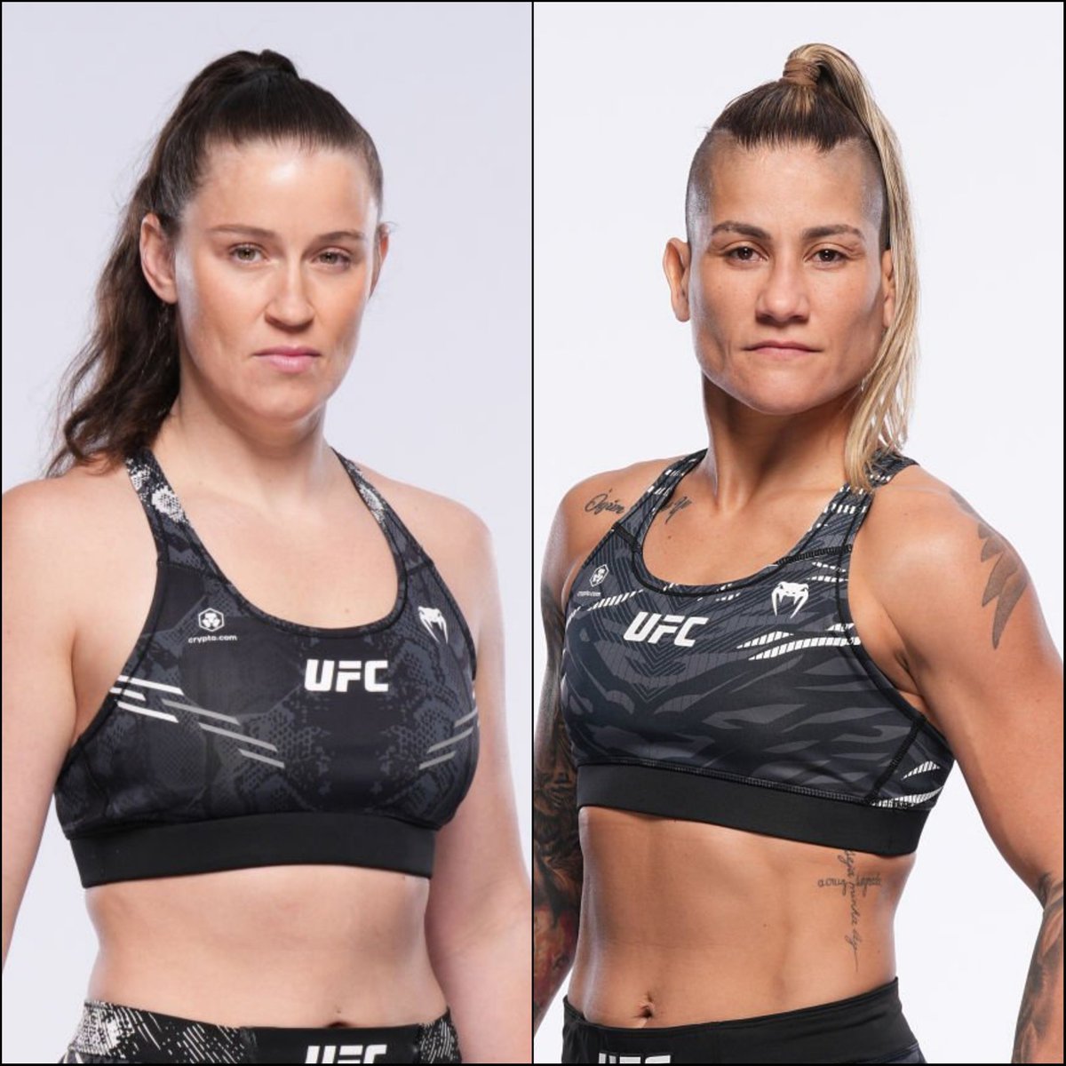 Marcel Dorff 🇳🇱🇮🇩 tweet media