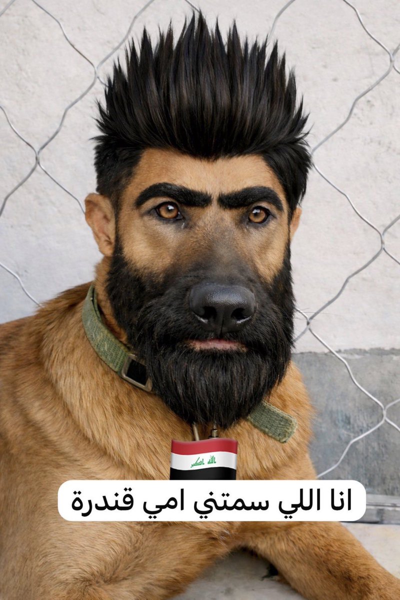 ابو سسعود🤍💚 tweet media