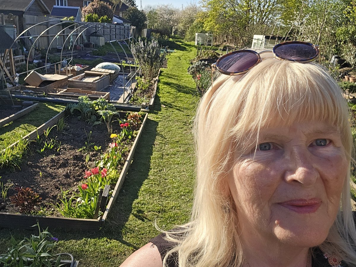 katerina7711's tweet photo. A bit of a tidy up at the #allotment All looking nice and neat. #Perfectweather #tulips #spring #sunshine #gardening #growyourown #flowers https://t.co/KuADGuJkm3
