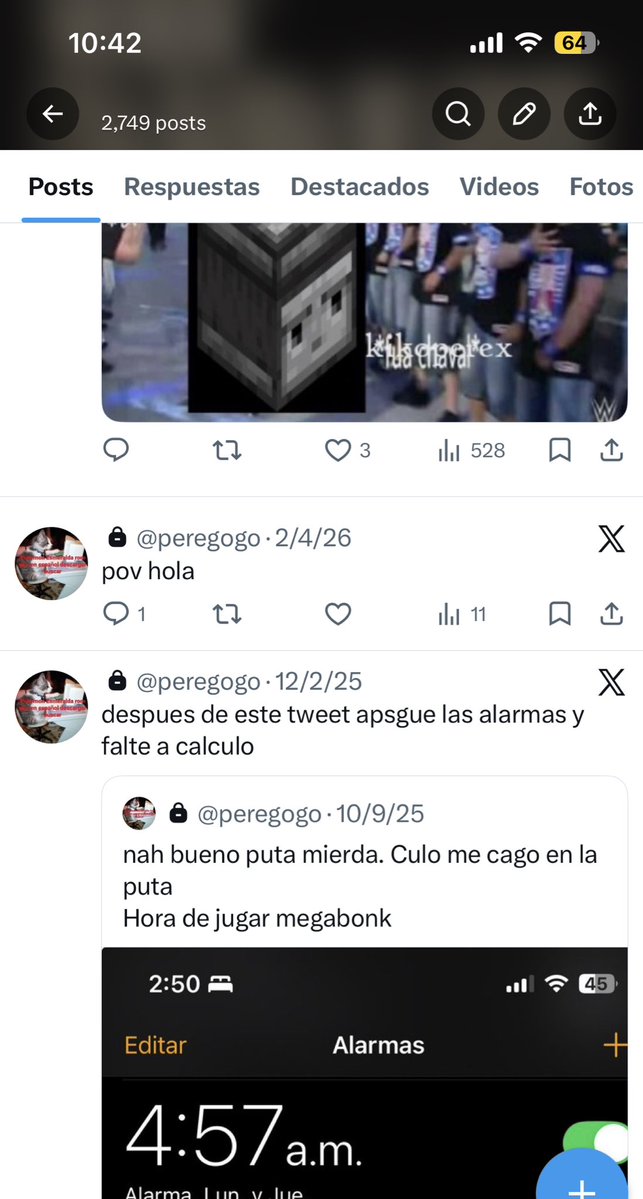 Peregogo tweet media