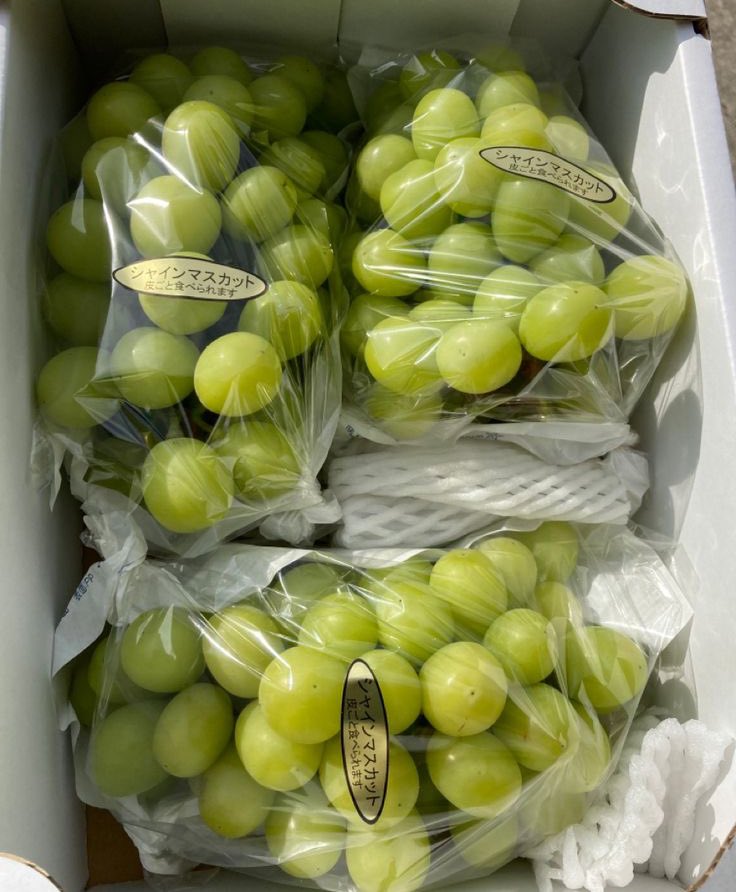 ella ENHYPEN IS 7! tweet media