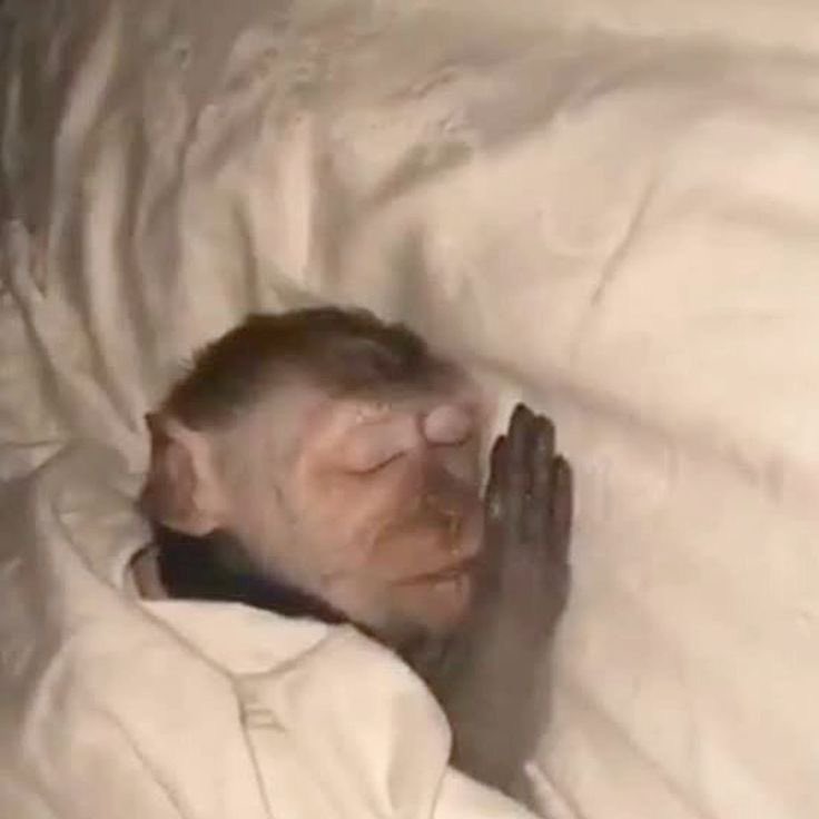 발냄새 tweet media