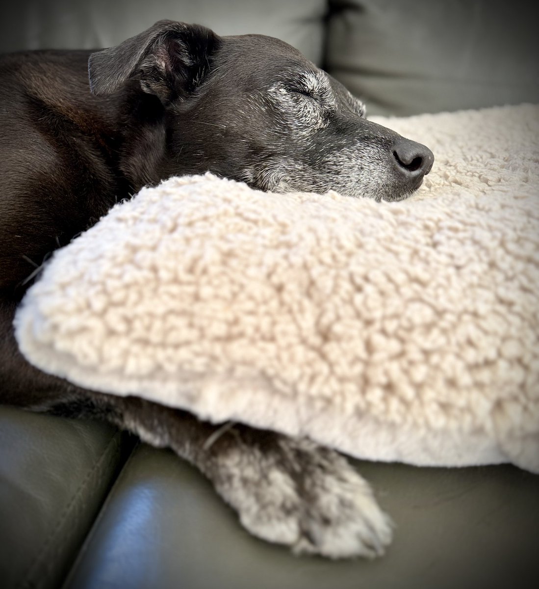 Andrzej z EU 🇪🇺🇵🇱🇺🇦🇮🇱 tweet media