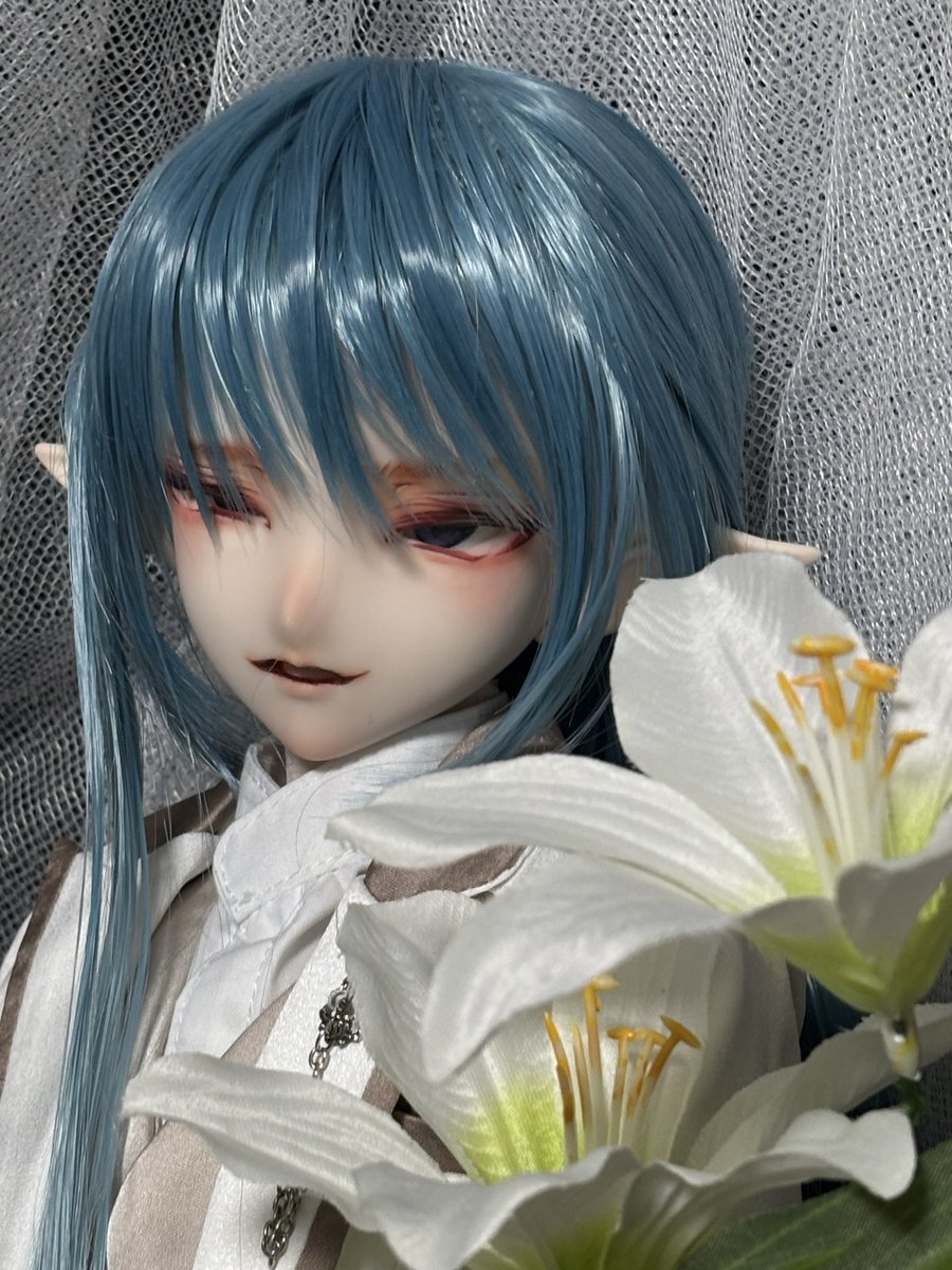 open0224's tweet photo. 💤 #おやすみなさいの前にドールの写真を1枚貼ろう https://t.co/LOtsXaF1xt