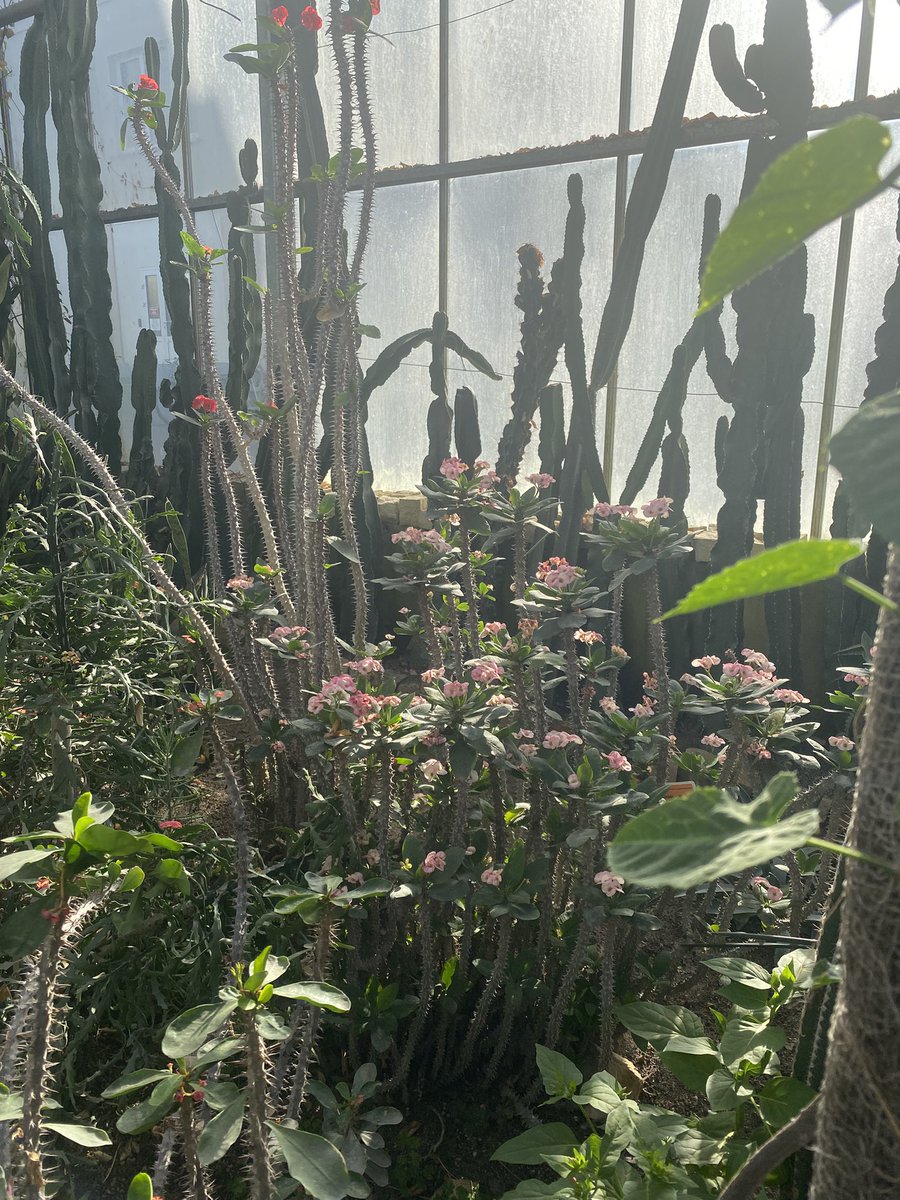 aleksandra tweet media