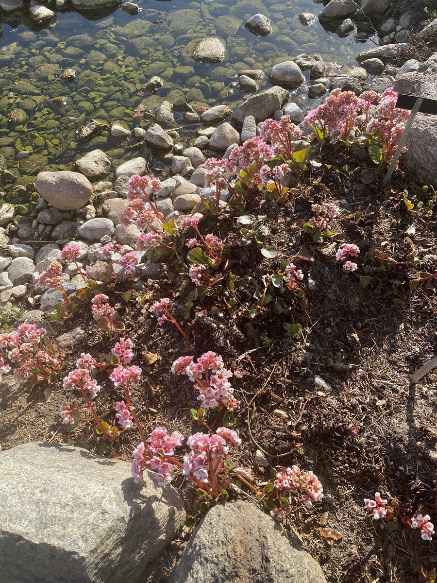 aleksandra tweet media