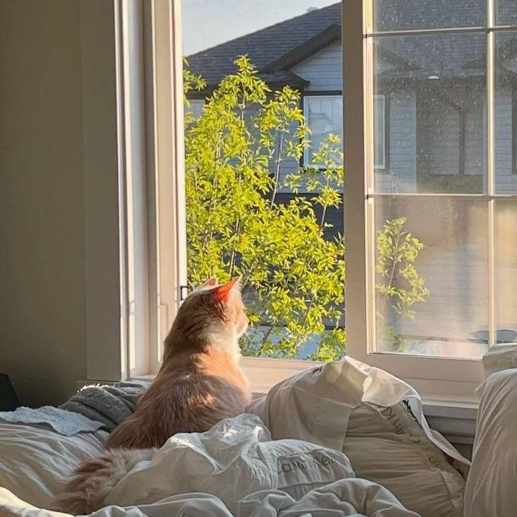 jordi 𝜗𝜚 enhypen is seven tweet media