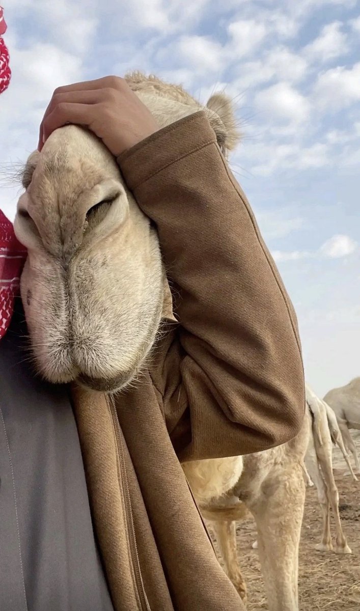 قروب اشعار tweet media