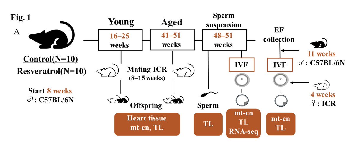 David Sinclair tweet media