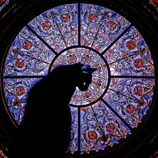 Vaporis 𓆝 𓆟 𓆞 tweet media