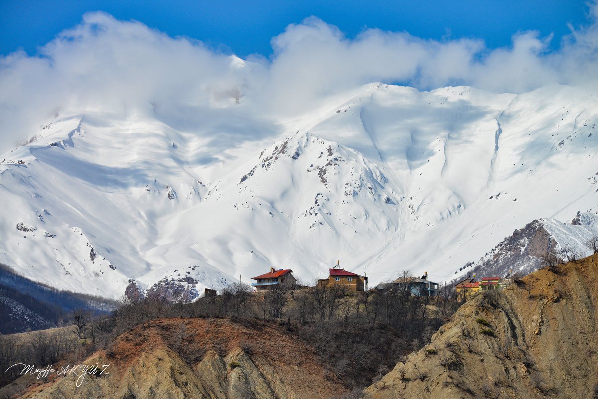 Victorious62 tweet media