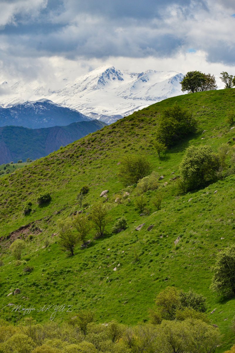 Victorious62 tweet media