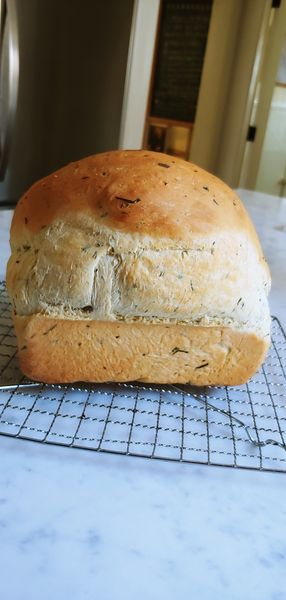 SavageKairn's tweet image. #Foodies

I made fresh Rosemary Manchego Bread!

It is fluffy, with the fragrant aroma and piney flavor of rosemary and the buttery sharp goodness of the cheese.

Who wants to try?

#Yum