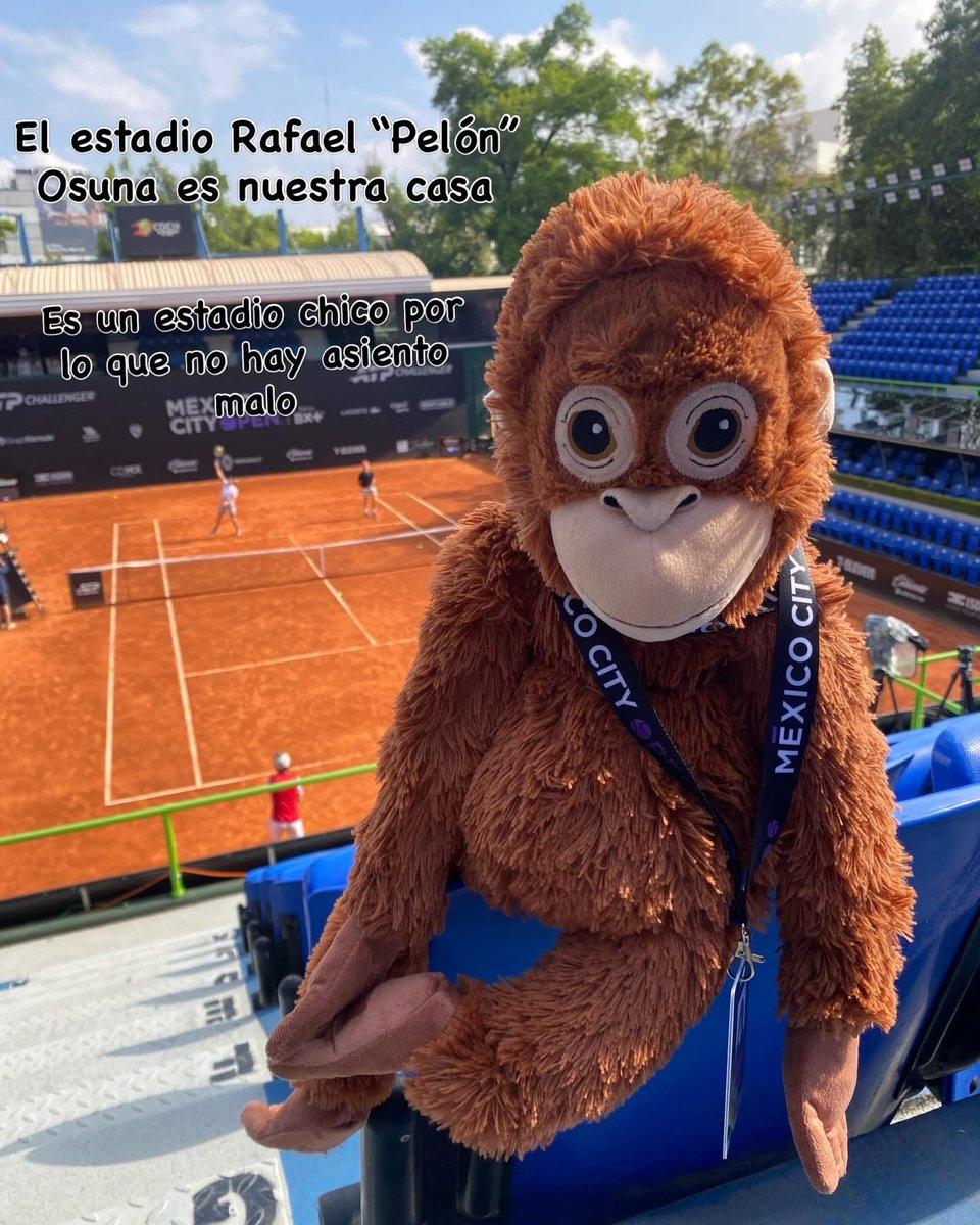 Si es tu primera vez en el Mexico City Open Presentado por Bx+ Jacarando tiene preparada una guía para ti y para que no te pierdas de nada🎾💜

#MCO2026 #MexicoCityOpen #Tennis