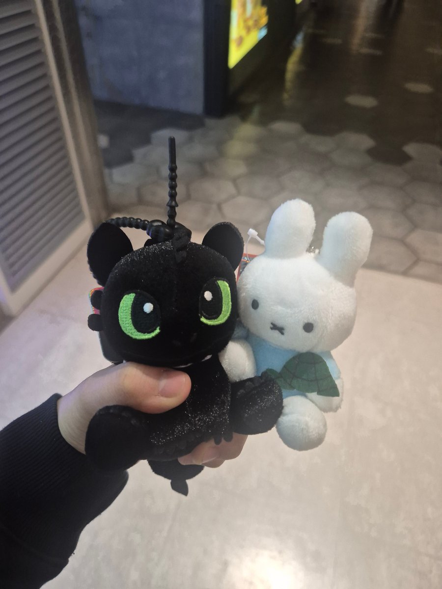 노랑풀 tweet media