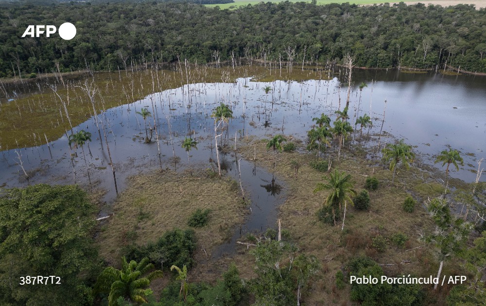 Agence France-Presse tweet media