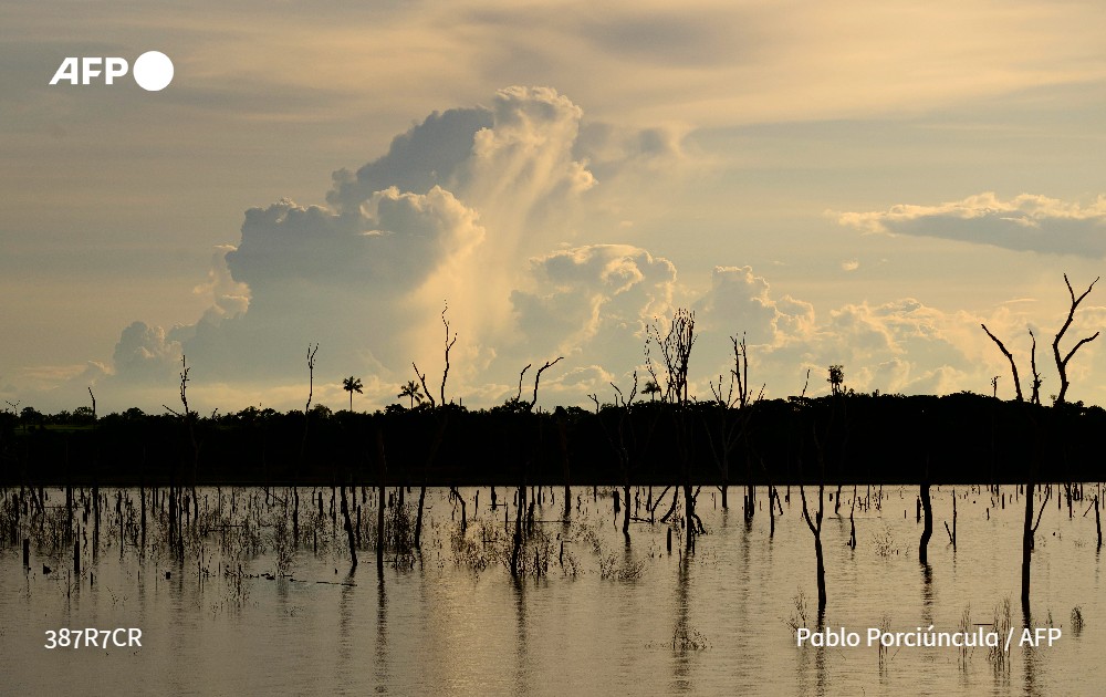 Agence France-Presse tweet media