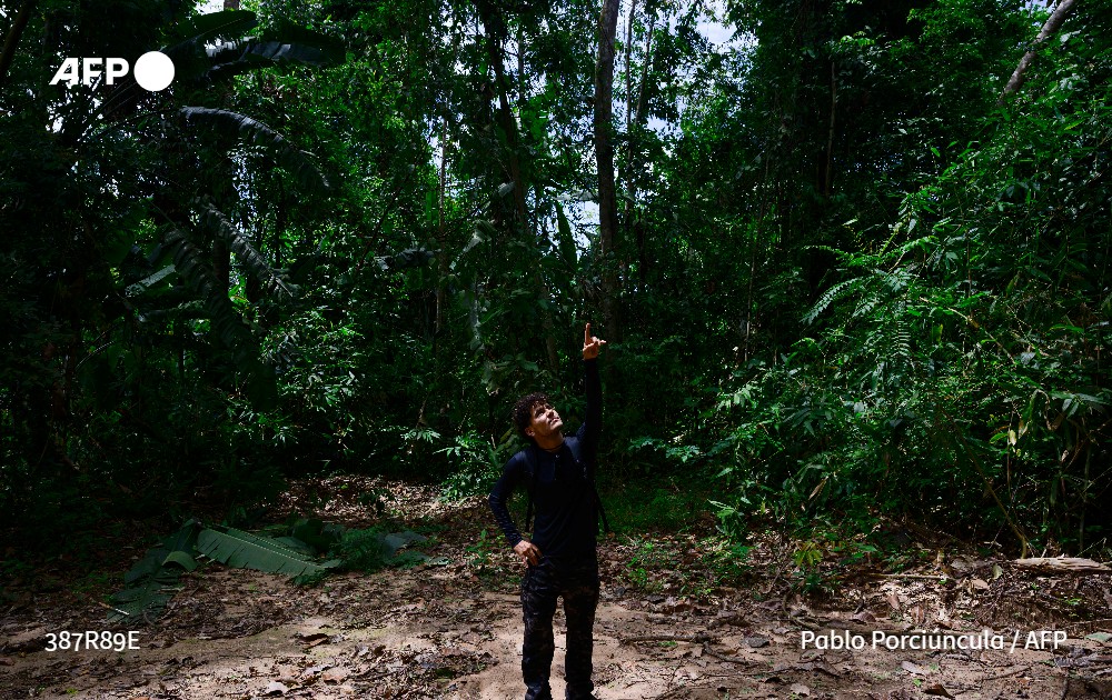 Agence France-Presse tweet media