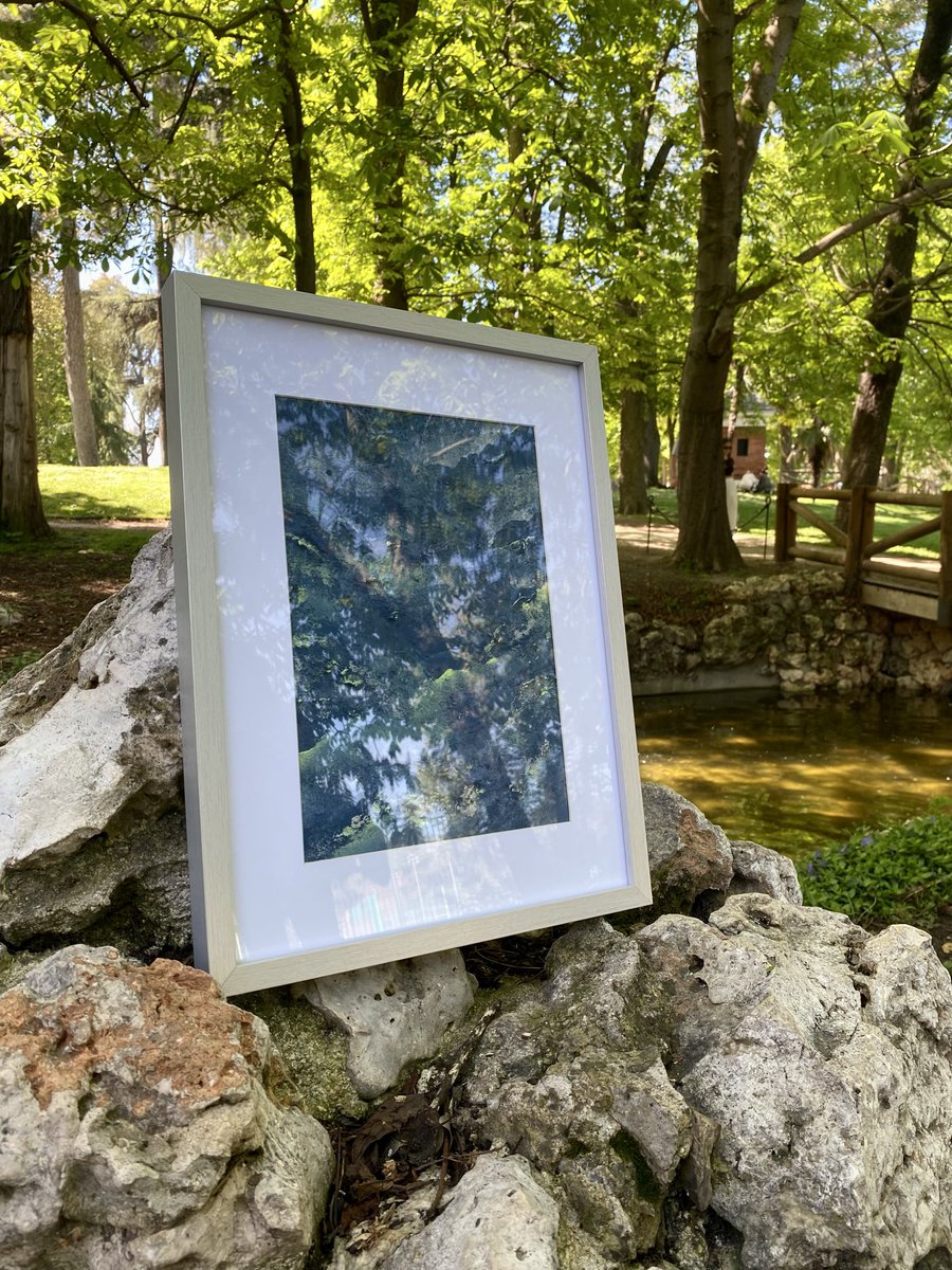 Itziar 🪸 tweet media