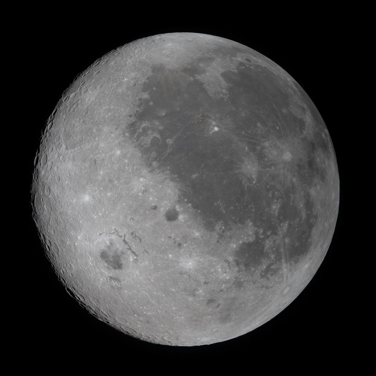 Max Evans tweet media