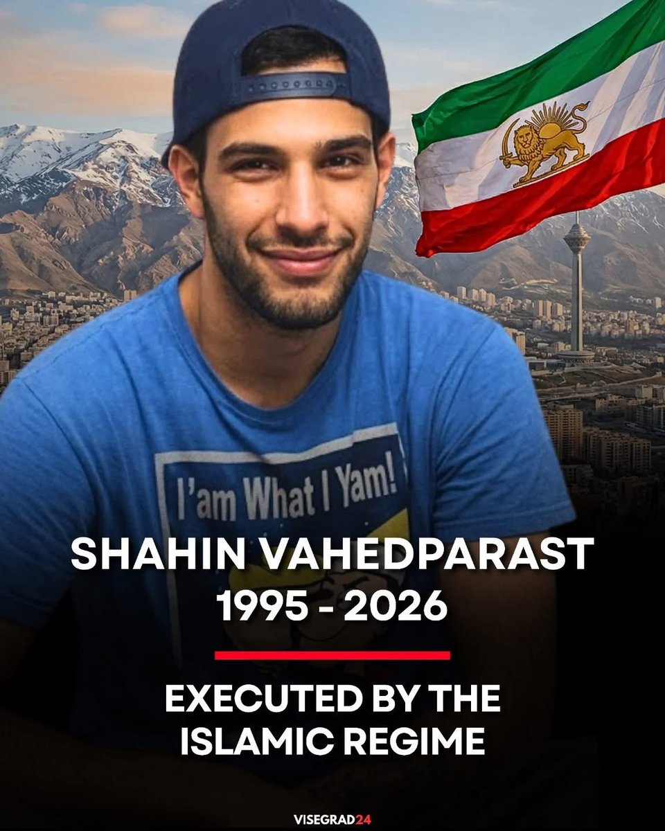 Visegrád 24 tweet media