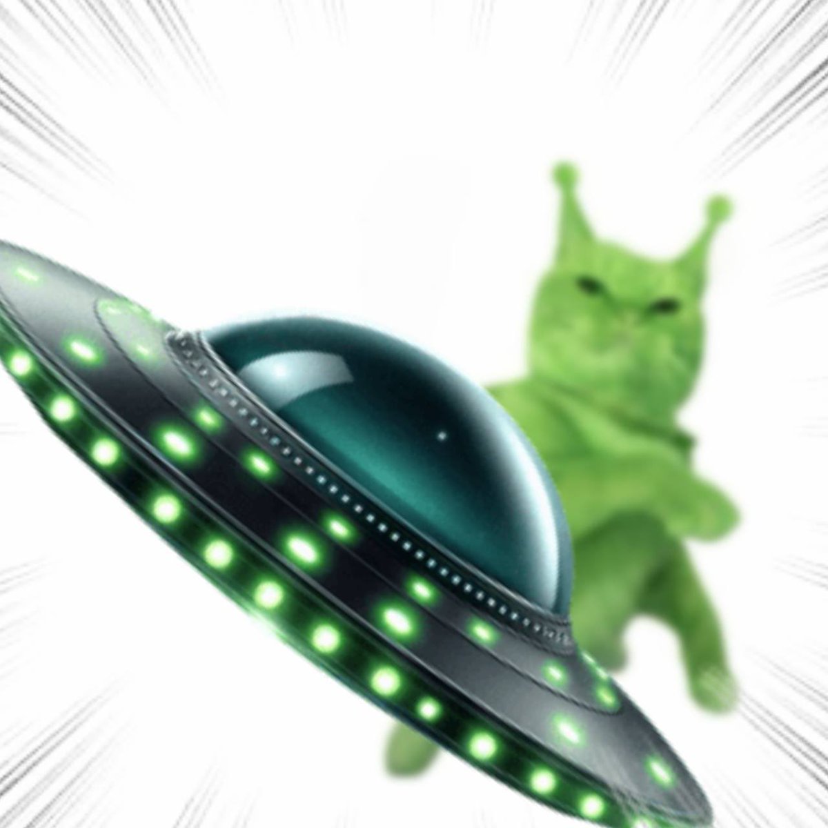 Throwing Things Daily tweet media