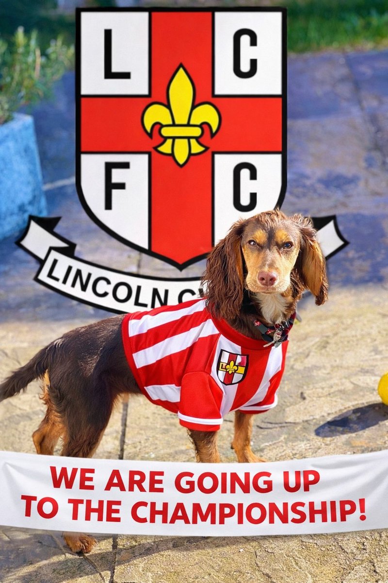 ch3fb4zza's tweet photo. @LincolnCity_FC 
#lincoln
Congratulations 🙌 https://t.co/bPirPAdzVh