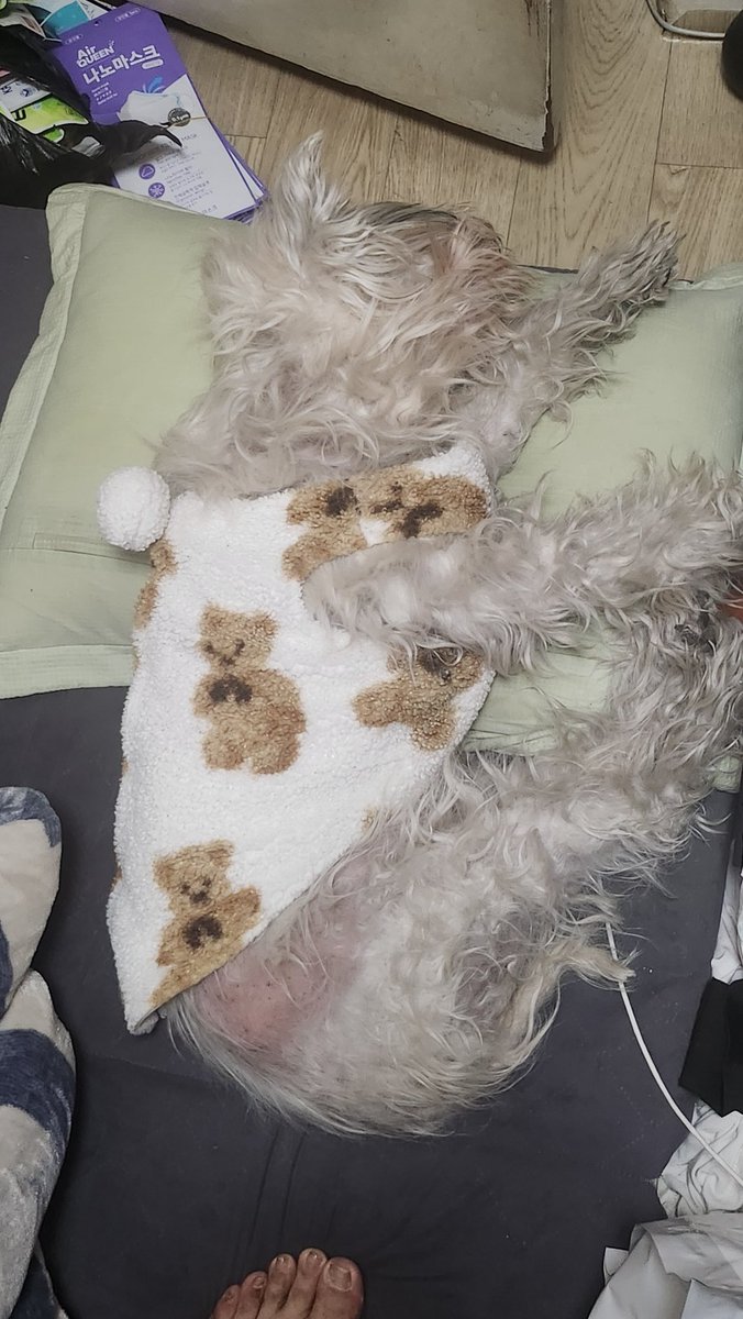 도끼천치 tweet media