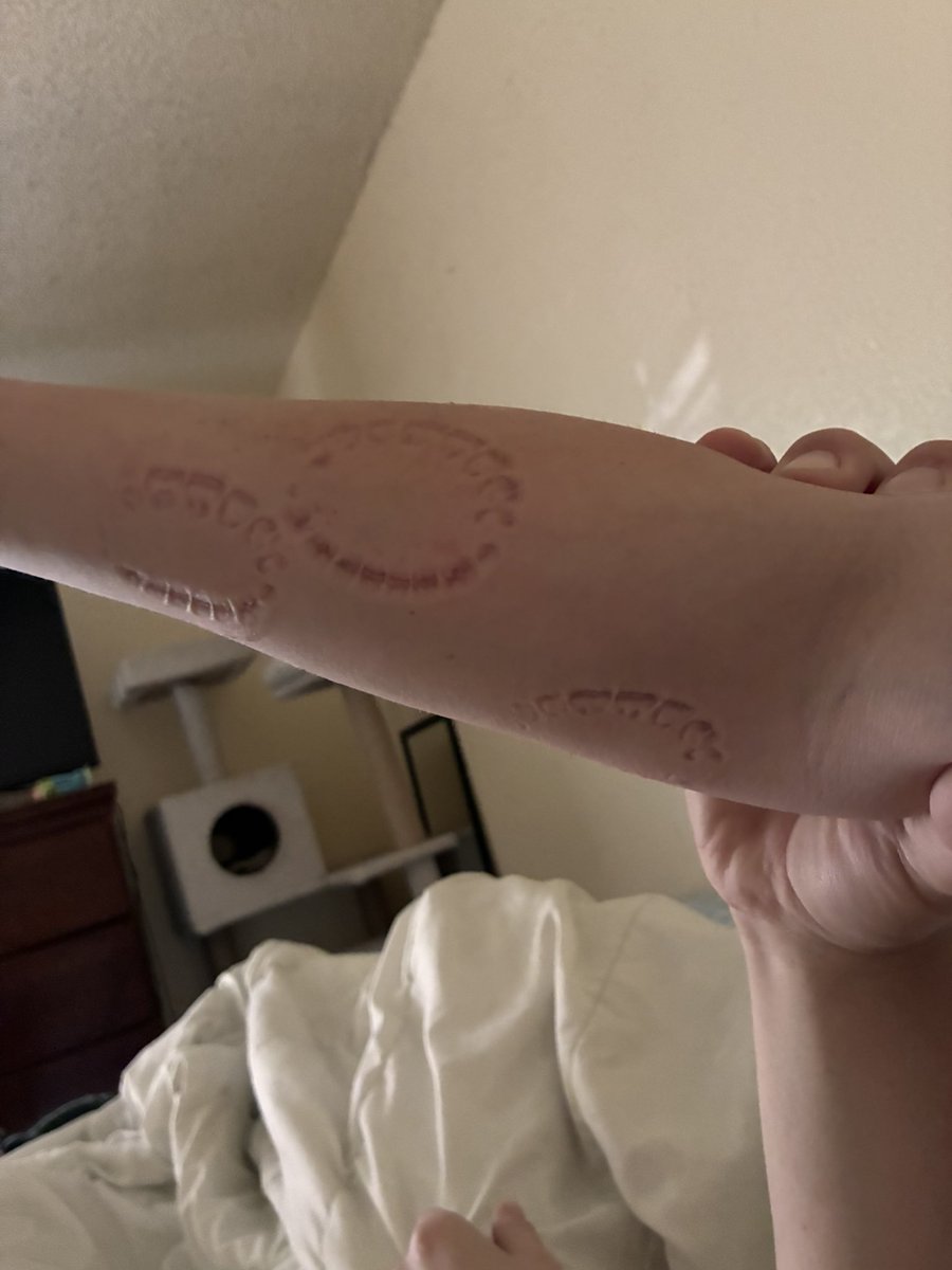 Gen 🏳️⚧️ tweet media