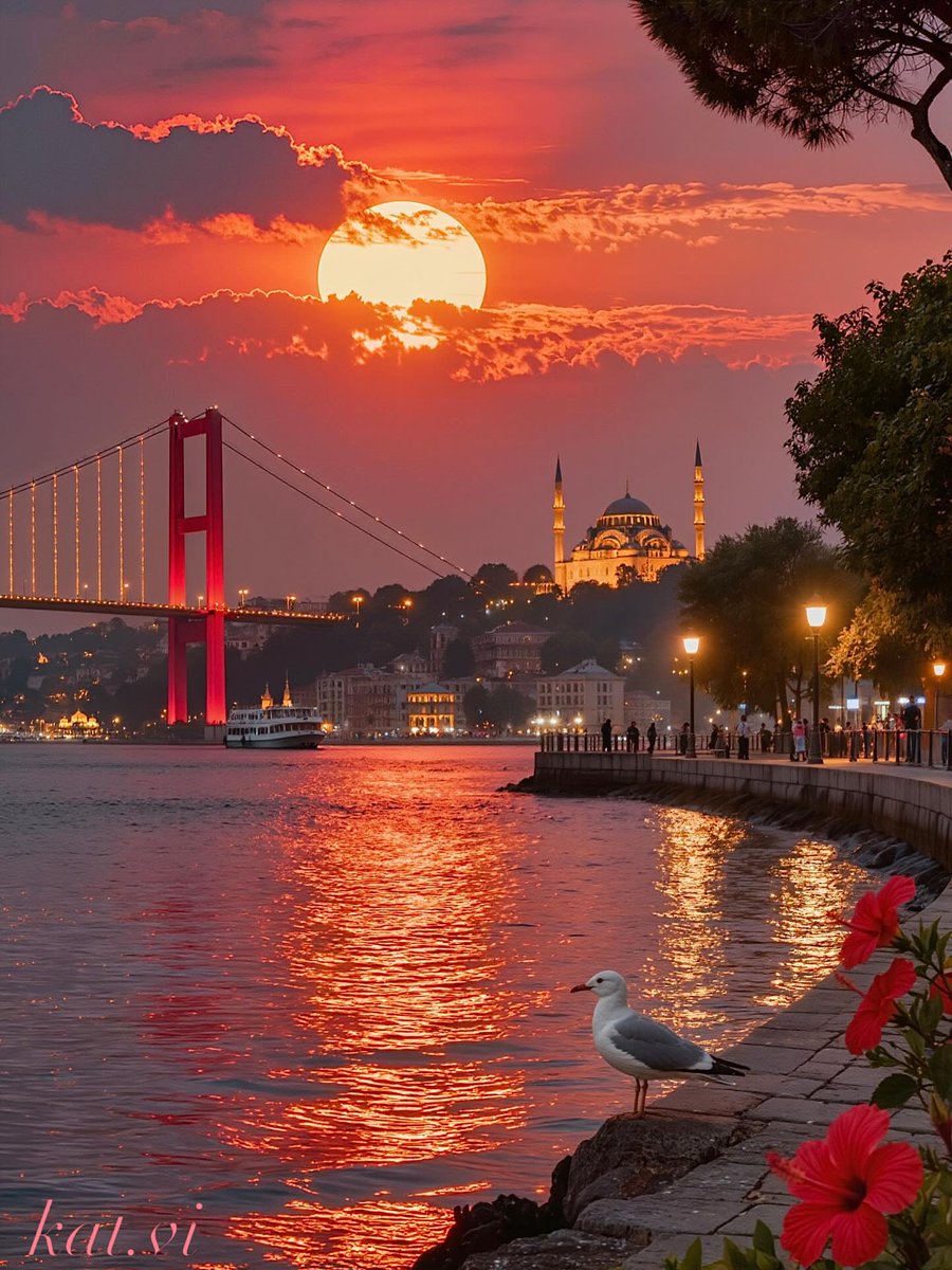 davidhuang96's tweet image. Istanbul, turkey