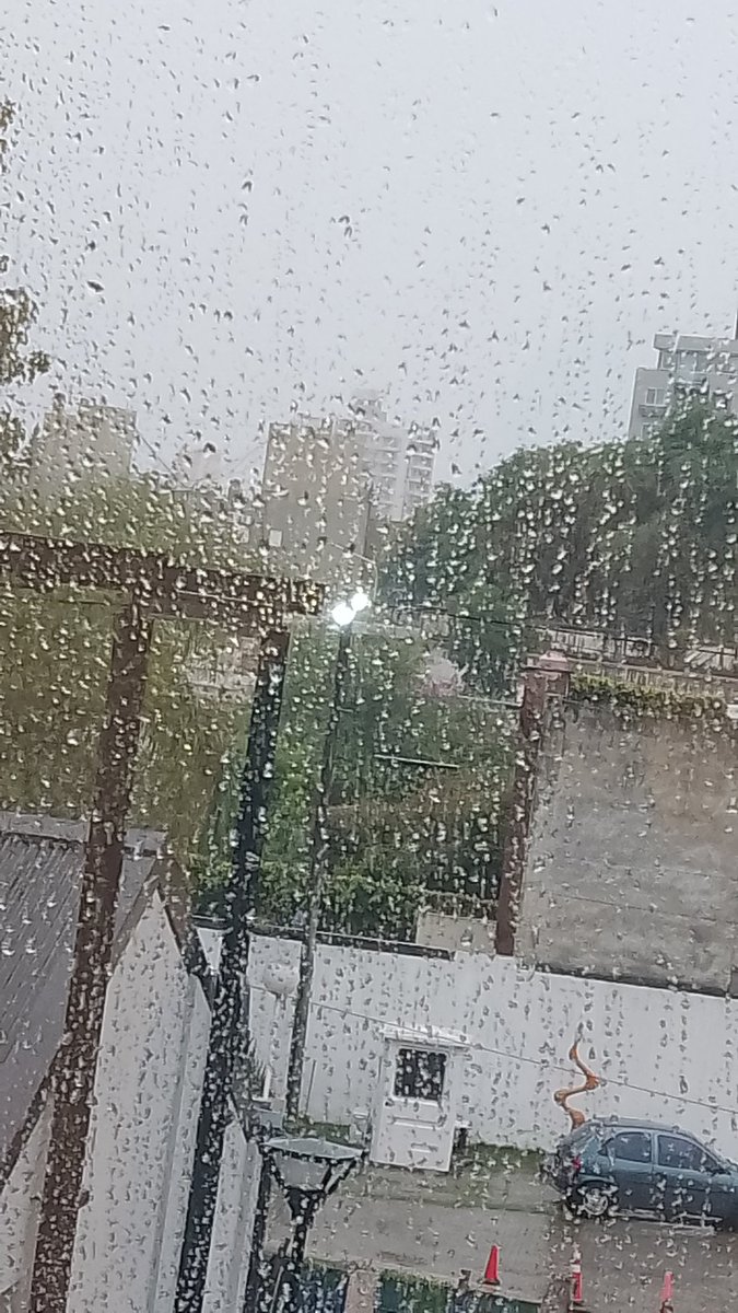 Marina 🤘🏽⚫🔴⚫🔴⭐ tweet media