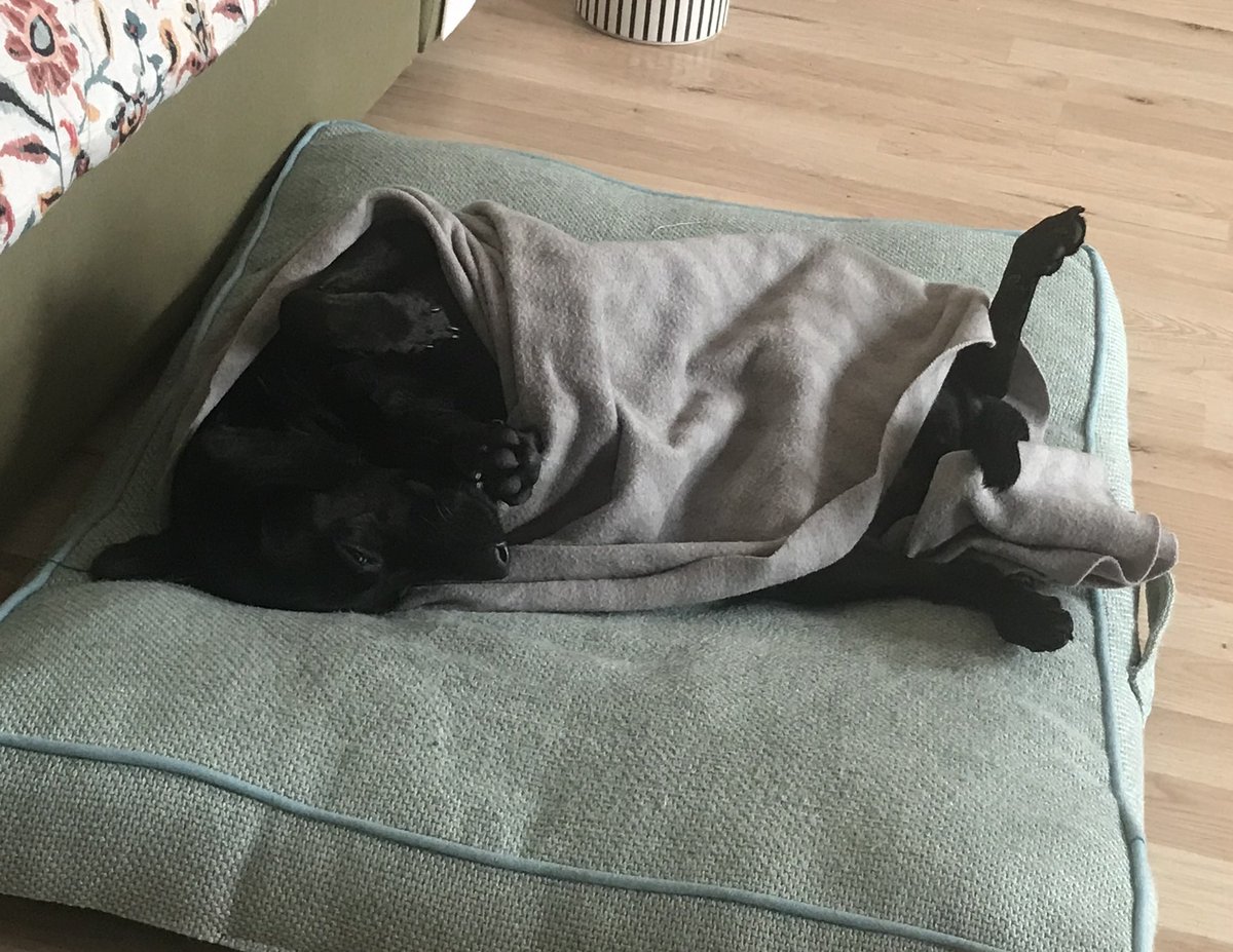 sumatra🌈 tweet media