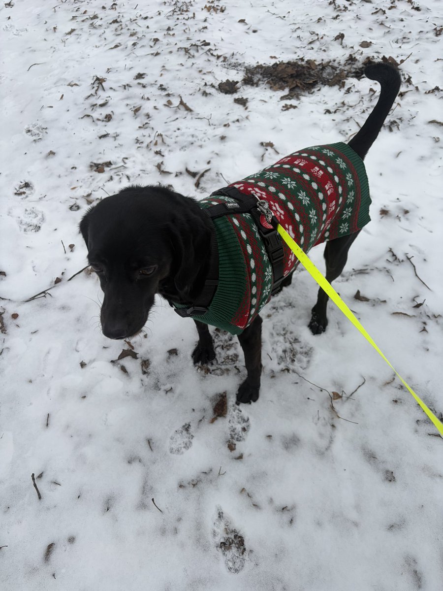 sumatra🌈 tweet media